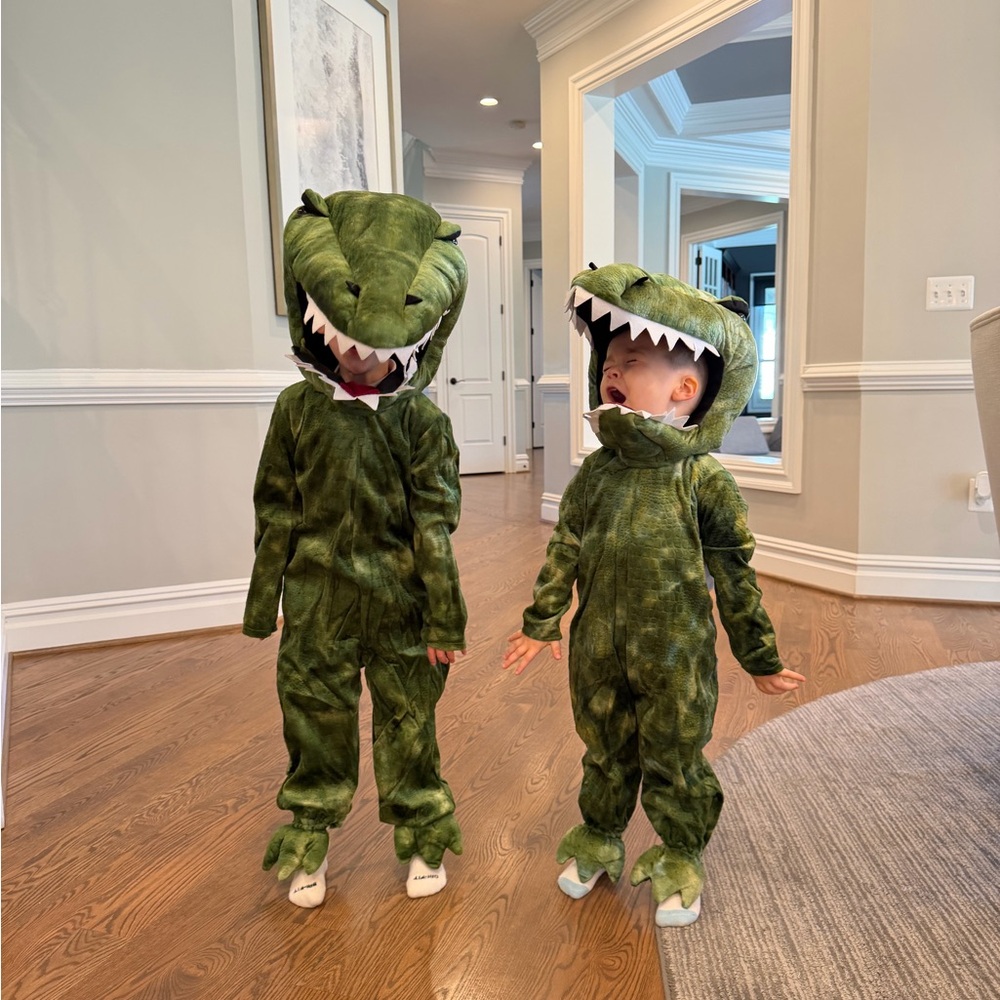 Pottery Barn Kids Light Up Green T Tex Dinosaur Costume